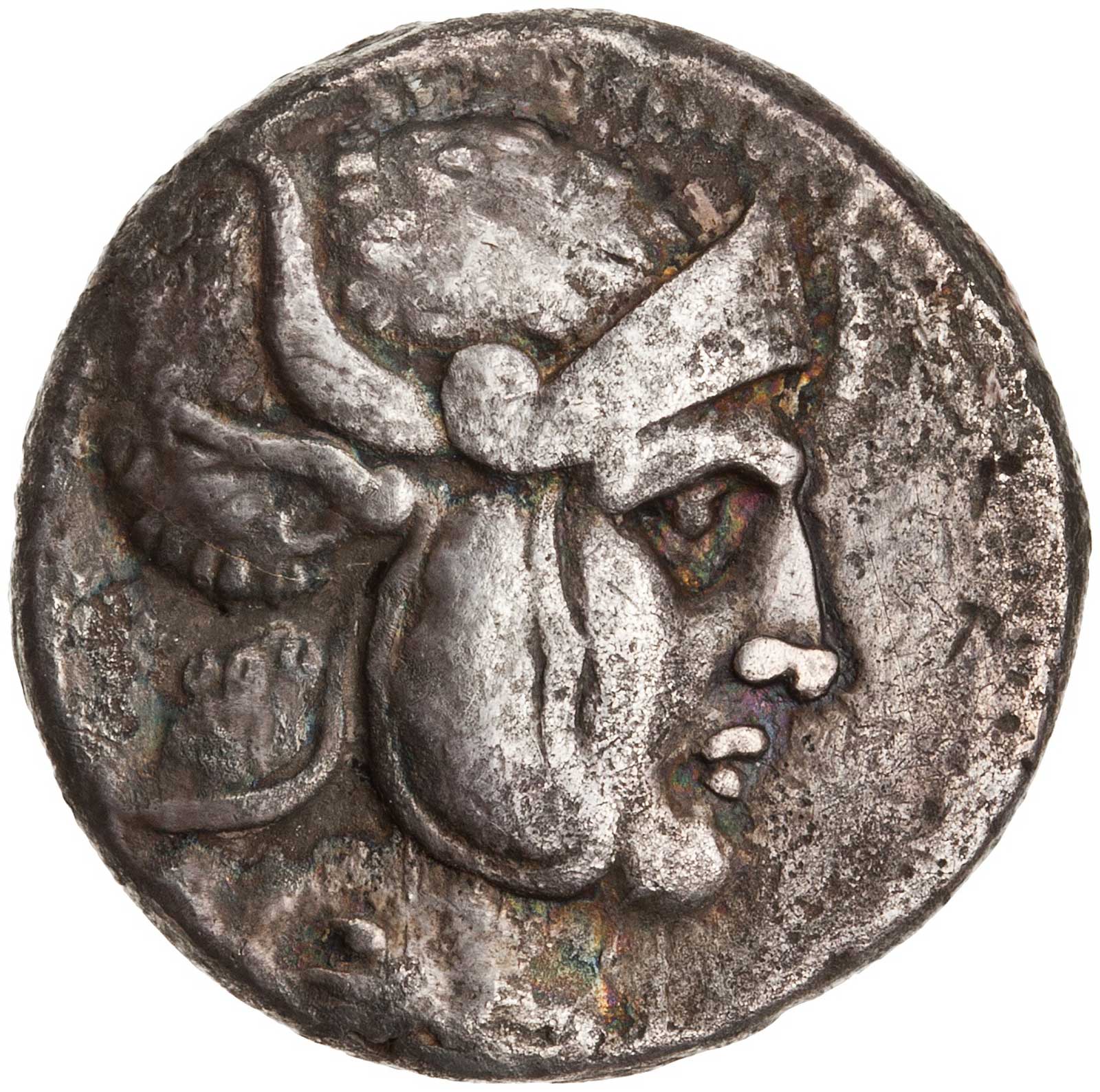Αργυρό νόμισμα βασιλέα Σελεύκου Α', 305-281 π.Χ.(© American Numismatic society)
